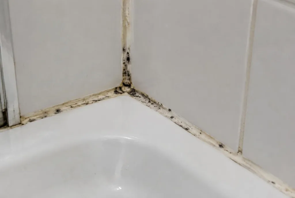 Kitbedrijf Ommen – beschimmelde kitranden